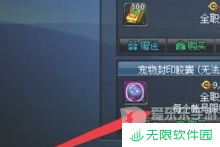 地下城与勇士起源宠物封印胶囊怎么用 宠物封印胶囊使用方法