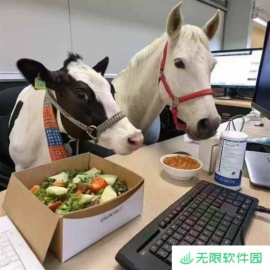 极乐软件园