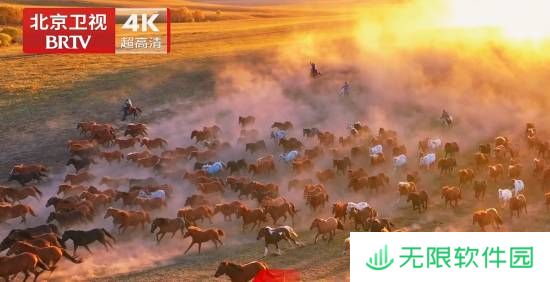 极乐软件园